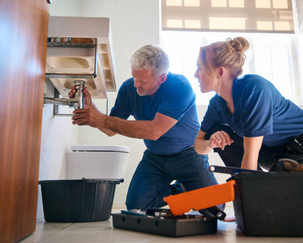 Best Plumbing Inspection Services  in Alanuk, AK